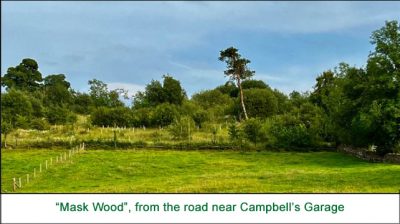 Mask Wood from the road near Campbell's Garage