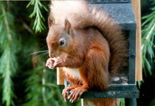 Asby Calendar - March 2026