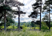 Asby Calendar - June2026